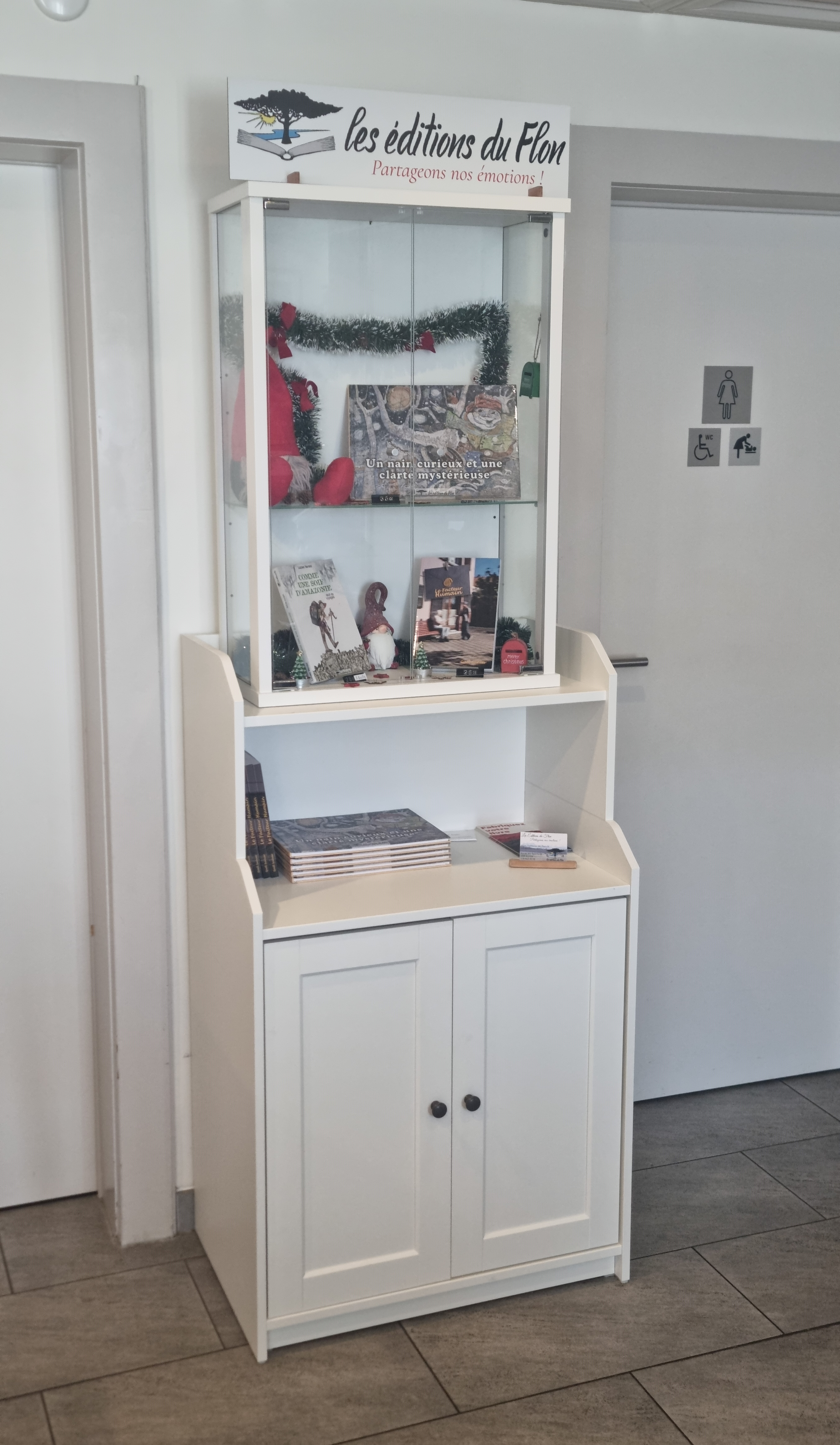 20241114 132231 2 Vitrine Les Éditions du Flon