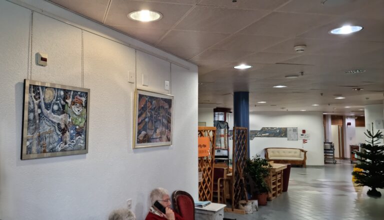 20241219 112319 2 inpixio Exposition au Home de Billens