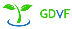 logo gdvf