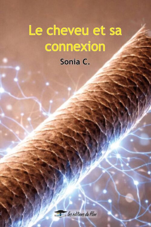 Le cheveu et sa connexion